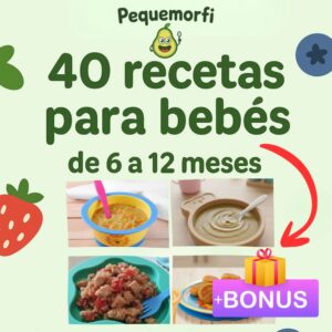 Recetario bebes 6 meses a 1 año + 2 libros de regalo